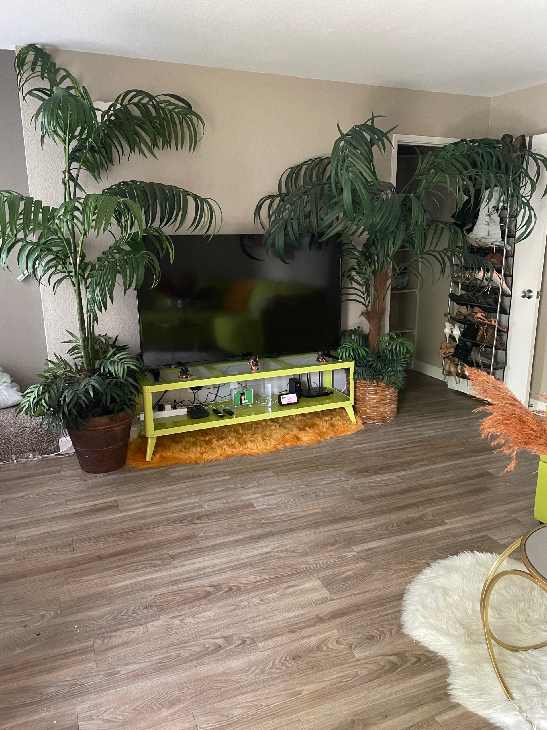 Clean and fresh home after Southern Belles cleaning service, San Diego